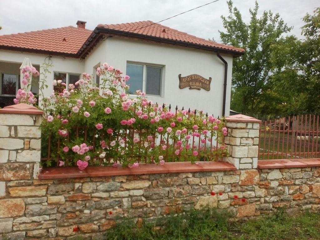 Hotel Draganov House Durankulak Exterior foto